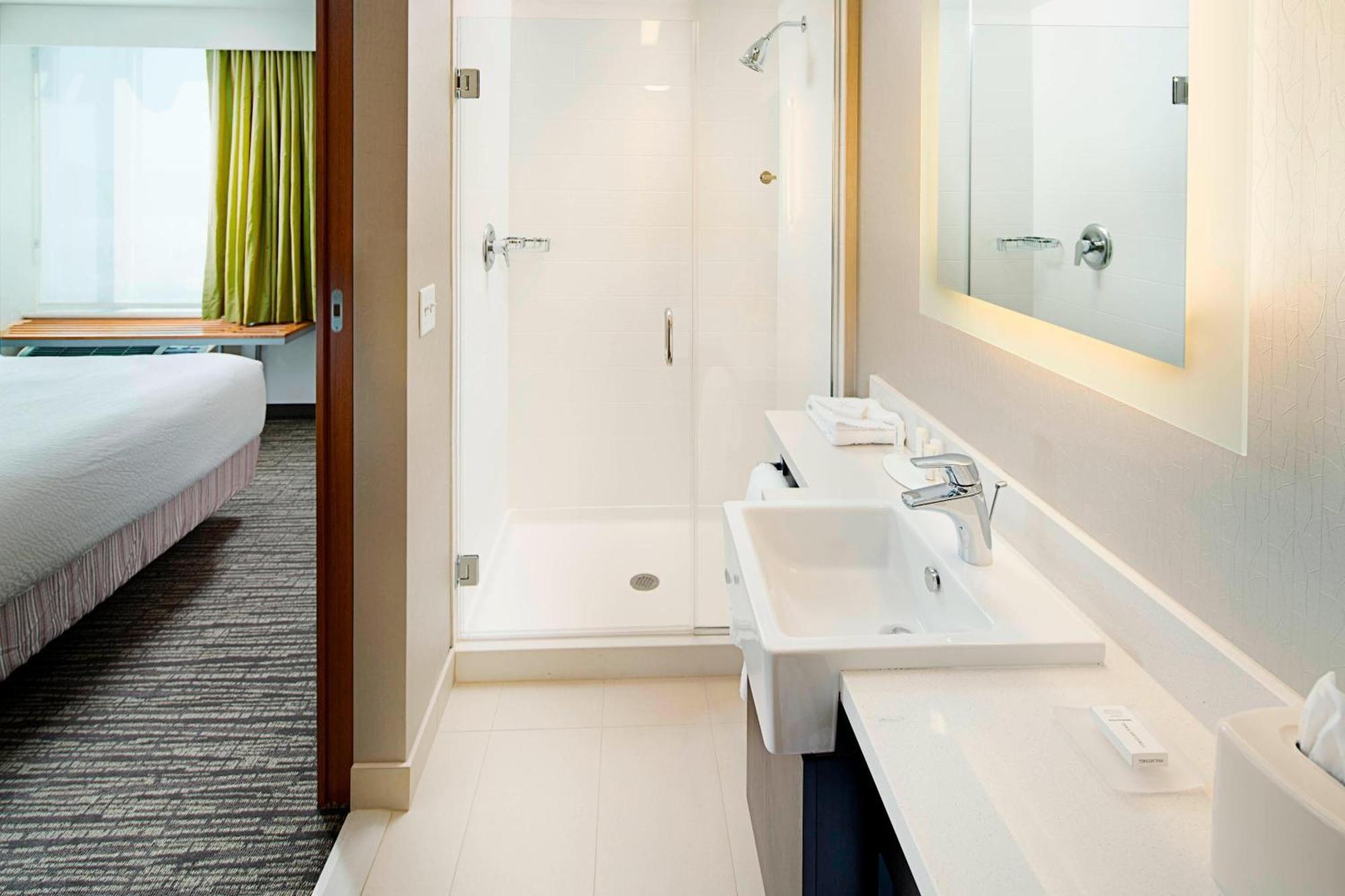 Springhill Suites By Marriott Carle Place Garden City Exteriér fotografie